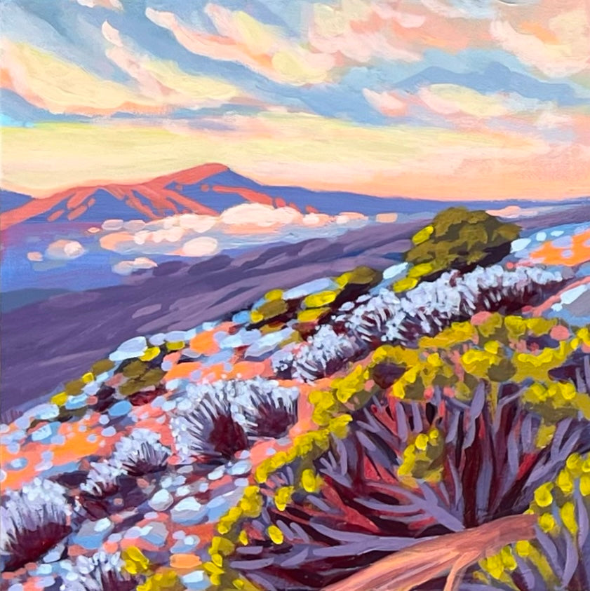 Joshua Tree Mini #1