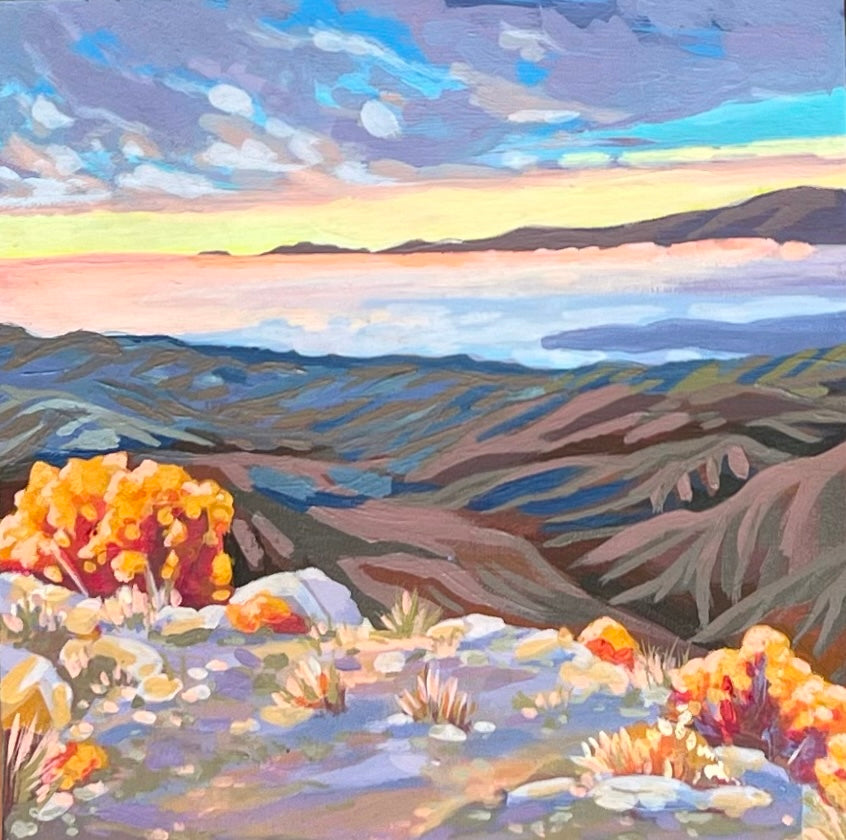 Joshua Tree Mini #2