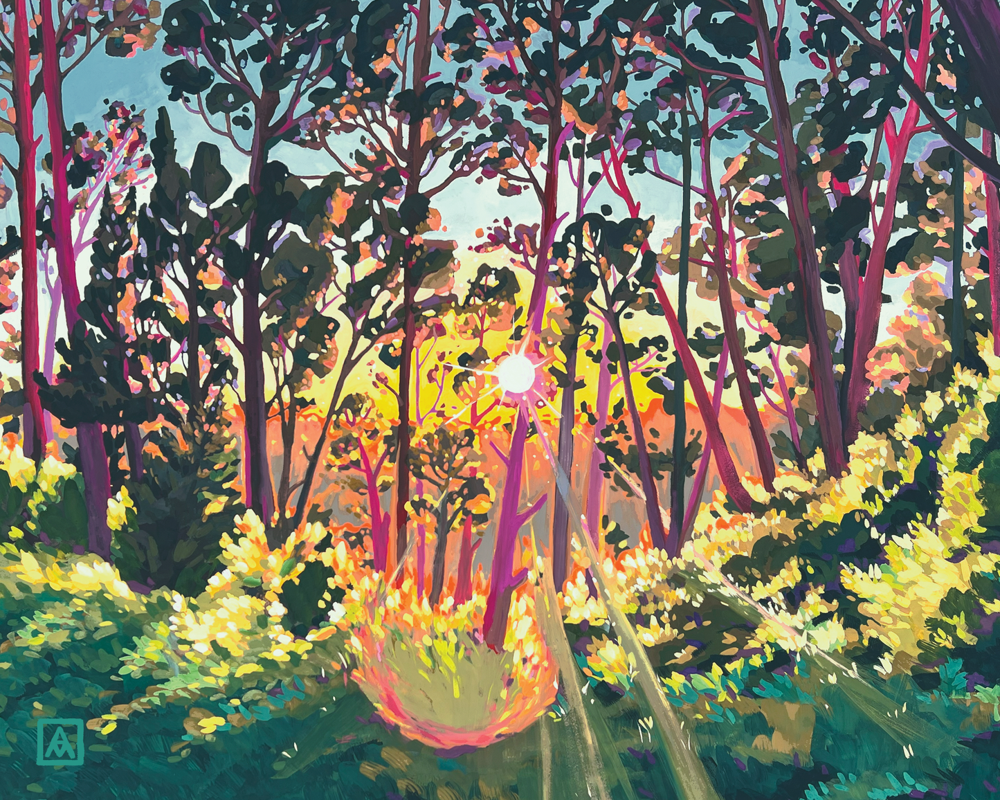 Afternoon Sunbeams in the Eucalyptus Garden