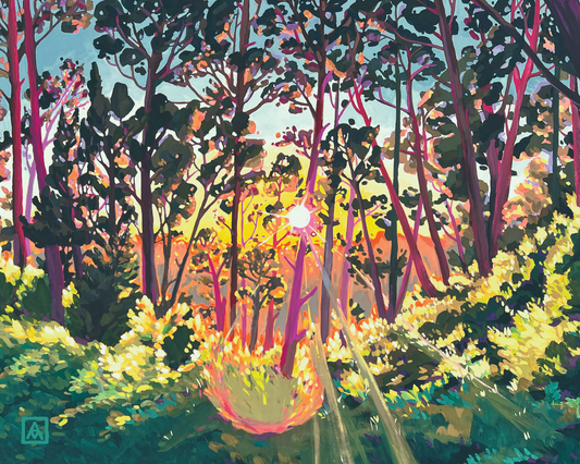 Afternoon Sunbeams in the Eucalyptus Garden