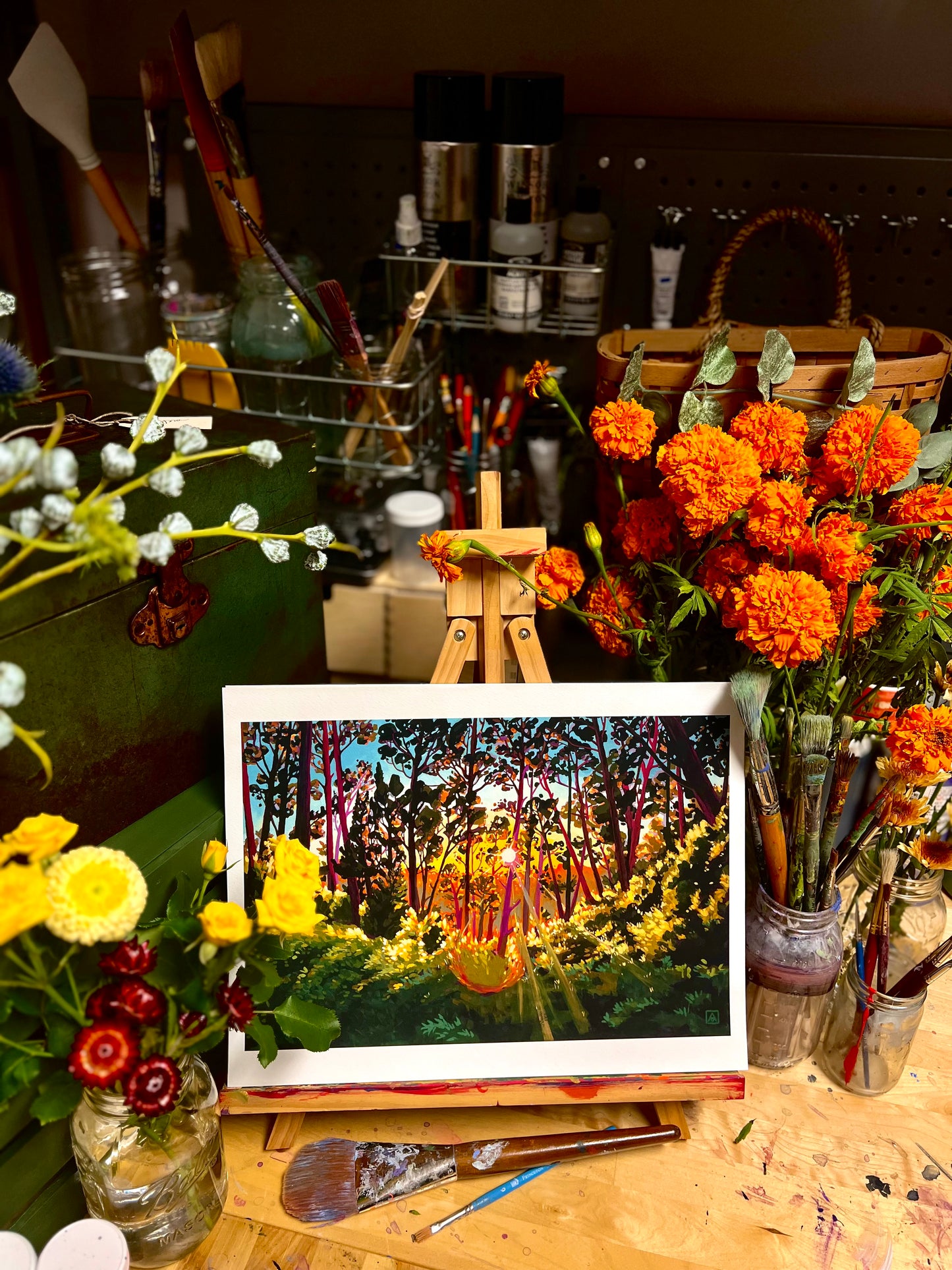 Afternoon Sunbeams in the Eucalyptus Garden