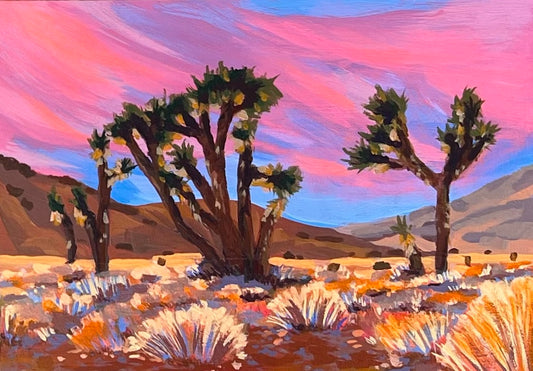 Joshua Tree Mini #5