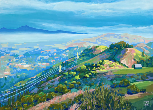 A Pocket of Sunlight in Tilden