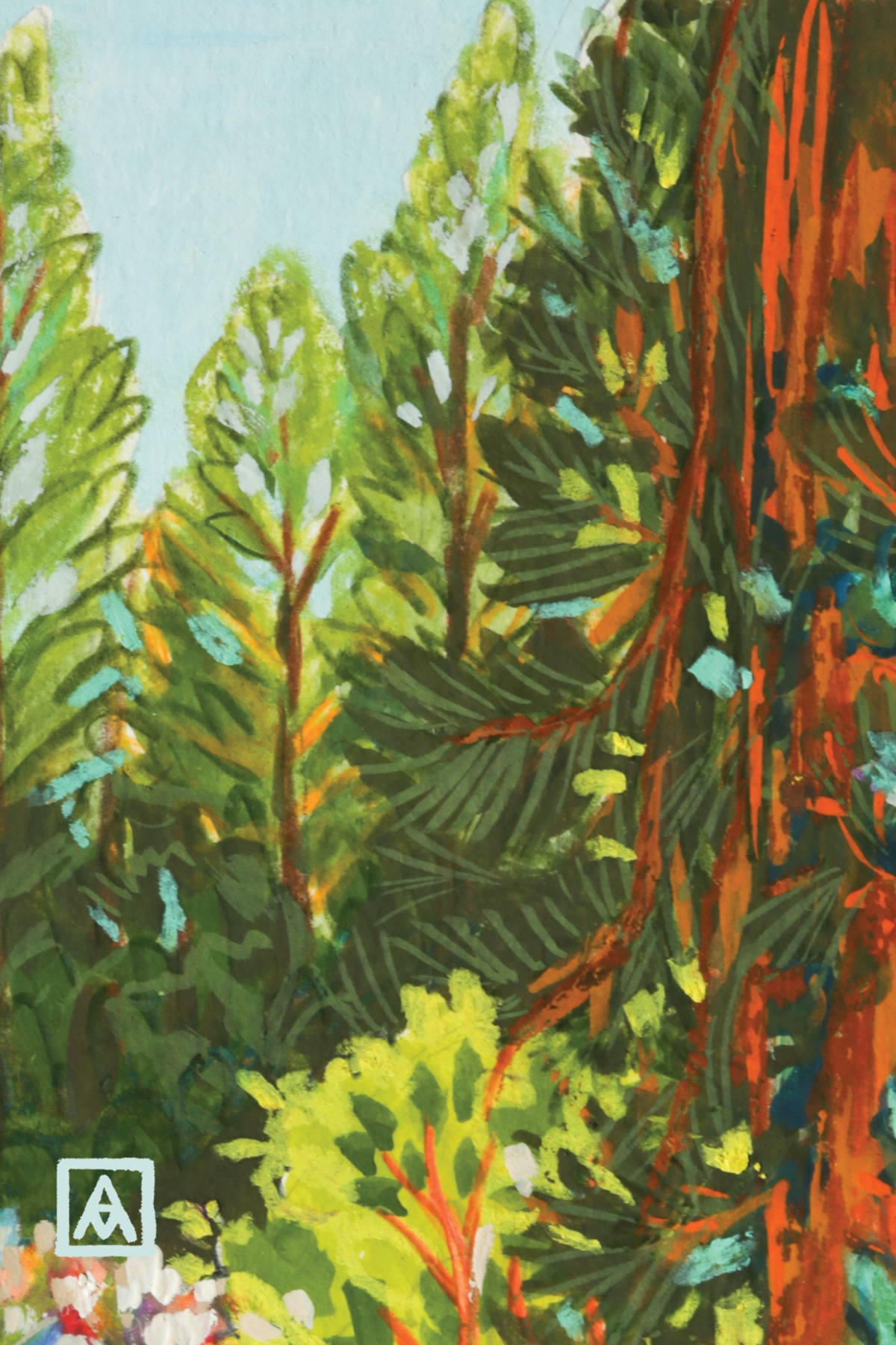 The Redwoods at Stern Grove